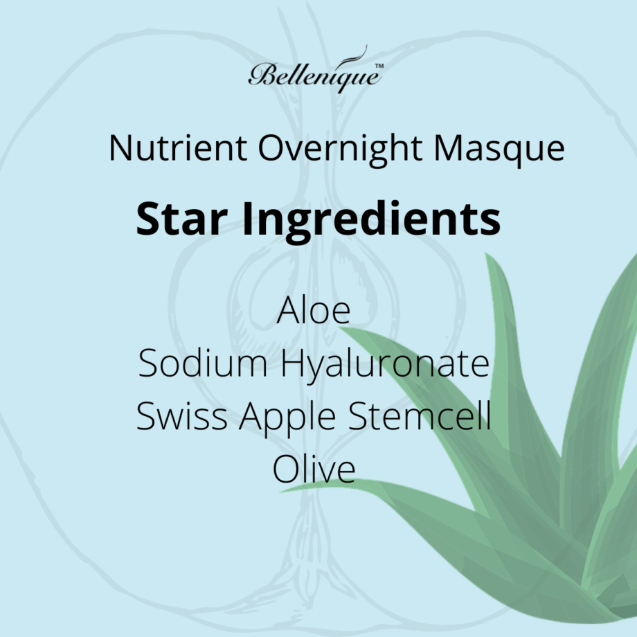 https://avli.sg/wp-content/uploads/2022/06/Bellenique-Nutrient-Overnight-Masque-4.png